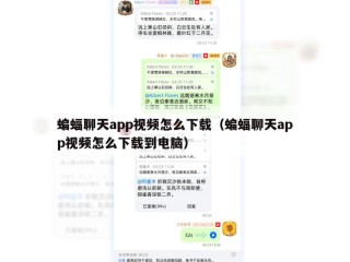 蝙蝠聊天app视频怎么下载（蝙蝠聊天app视频怎么下载到电脑）