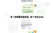 萝卜密聊服务器安装（萝卜密怎么吃）