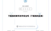 下载别的聊天软件安全吗（下载别的应用）