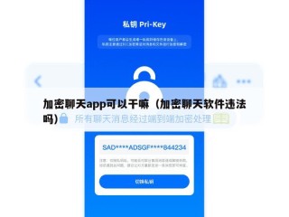 加密聊天app可以干嘛（加密聊天软件违法吗）