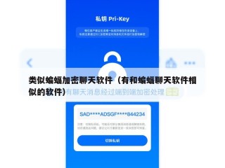 类似蝙蝠加密聊天软件（有和蝙蝠聊天软件相似的软件）