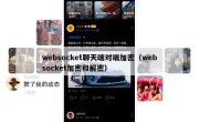 websocket聊天端对端加密（websocket加密和解密）