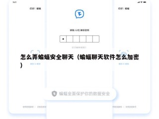 怎么弄蝙蝠安全聊天（蝙蝠聊天软件怎么加密）