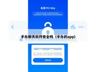 手办聊天软件安全吗（手办的app）