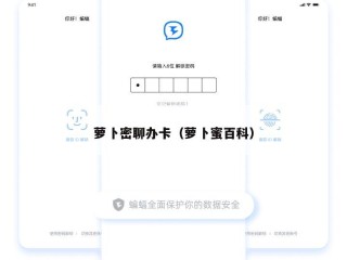 萝卜密聊办卡（萝卜蜜百科）