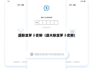 盛联盟萝卜密聊（盛大联盟萝卜密聊）
