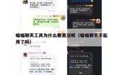 蝙蝠聊天工具为什么要激活呢（蝙蝠聊天不能用了吗）