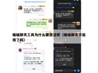 蝙蝠聊天工具为什么要激活呢（蝙蝠聊天不能用了吗）