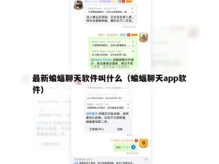 最新蝙蝠聊天软件叫什么（蝙蝠聊天app软件）