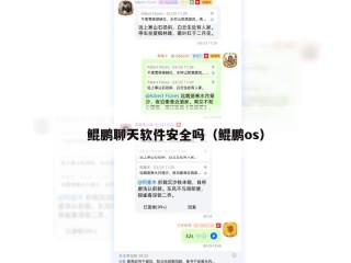 鲲鹏聊天软件安全吗（鲲鹏os）
