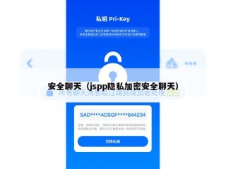 安全聊天（jspp隐私加密安全聊天）