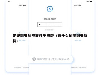 正规聊天加密软件免费版（有什么加密聊天软件）