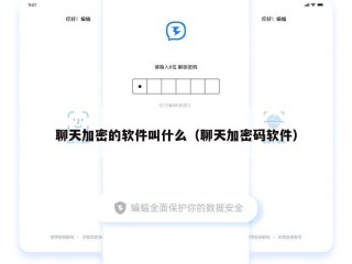 聊天加密的软件叫什么（聊天加密码软件）