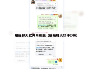 蝙蝠聊天软件单聊版（蝙蝠聊天软件246）