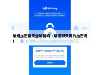 蝙蝠加密聊天能破解吗（蝙蝠聊天真的加密吗）