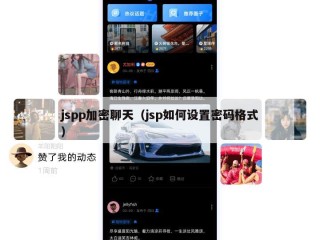 jspp加密聊天（jsp如何设置密码格式）