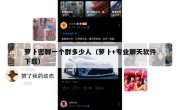 萝卜密聊一个群多少人（萝卜+专业聊天软件下载）