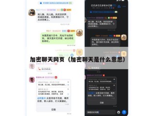 加密聊天网页（加密聊天是什么意思）