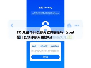 SOUL是个什么聊天软件安全吗（soul是什么软件聊天要钱吗）