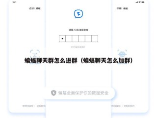 蝙蝠聊天群怎么进群（蝙蝠聊天怎么加群）