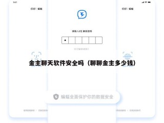 金主聊天软件安全吗（聊聊金主多少钱）