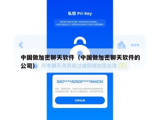 中国做加密聊天软件（中国做加密聊天软件的公司）