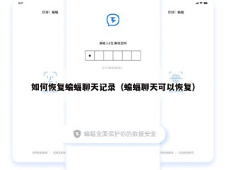 如何恢复蝙蝠聊天记录（蝙蝠聊天可以恢复）