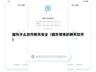 国外什么软件聊天安全（国外使用的聊天软件）