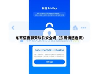 东哥语音聊天软件安全吗（东哥情感连麦）