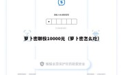 萝卜密聊投10000元（萝卜密怎么吃）