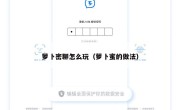 萝卜密聊怎么玩（萝卜蜜的做法）