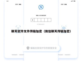 聊天软件文件传输加密（微信聊天传输加密）