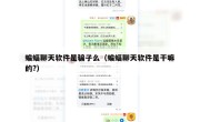 蝙蝠聊天软件是骗子么（蝙蝠聊天软件是干嘛的?）