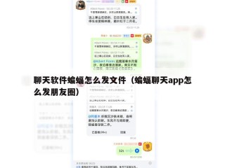 聊天软件蝙蝠怎么发文件（蝙蝠聊天app怎么发朋友圈）