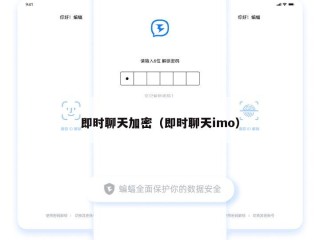 即时聊天加密（即时聊天imo）