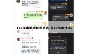 rsa加密原理即时通讯（rsa加密技术）