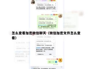 怎么查看加密微信聊天（微信加密文件怎么查看）