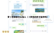 萝卜密聊群怎么加人（卜萝密的种子能种吗）