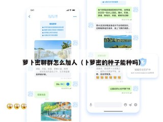 萝卜密聊群怎么加人（卜萝密的种子能种吗）