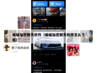 蝙蝠加密聊天软件（蝙蝠加密聊天软件怎么下载）