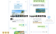 oppo加密聊天软件（oppo应用软件加密）