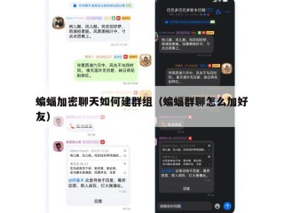 蝙蝠加密聊天如何建群组（蝙蝠群聊怎么加好友）