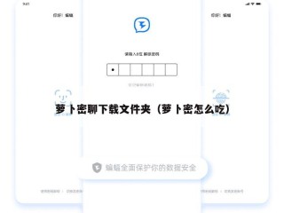 萝卜密聊下载文件夹（萝卜密怎么吃）