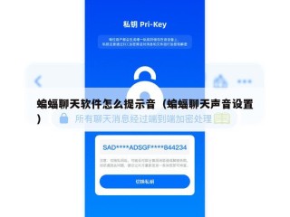 蝙蝠聊天软件怎么提示音（蝙蝠聊天声音设置）