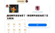 微信聊天语音加密了（微信聊天语音加密了怎么取消）