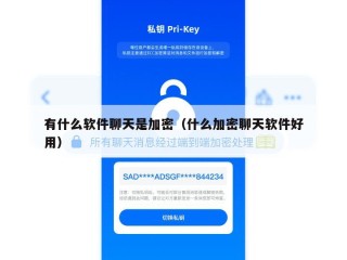 有什么软件聊天是加密（什么加密聊天软件好用）