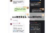 soul聊天安全么（soul聊天好吗）