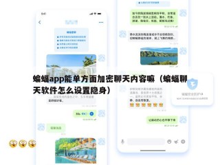蝙蝠app能单方面加密聊天内容嘛（蝙蝠聊天软件怎么设置隐身）
