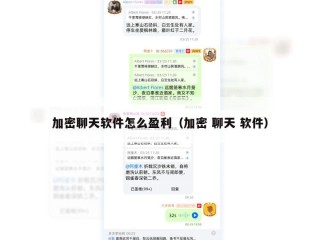 加密聊天软件怎么盈利（加密 聊天 软件）