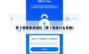 萝卜密聊真诚团队（萝卜蜜是什么东西）